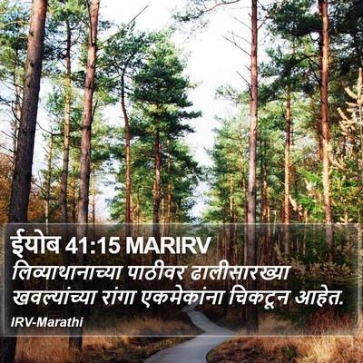 ईयोब 41:15 MARIRV Bible Verse Image