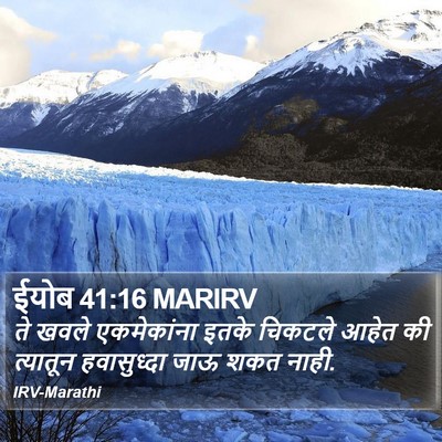 ईयोब 41:16 MARIRV Bible Verse Image