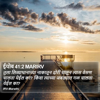ईयोब 41:2 MARIRV Bible Verse Image