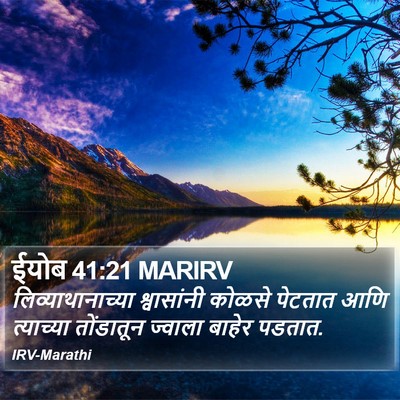 ईयोब 41:21 MARIRV Bible Verse Image