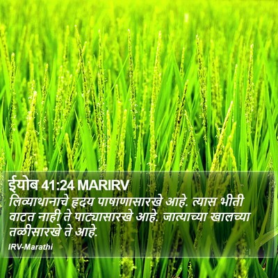ईयोब 41:24 MARIRV Bible Verse Image