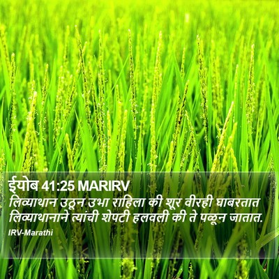 ईयोब 41:25 MARIRV Bible Verse Image
