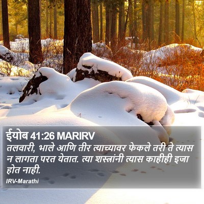 ईयोब 41:26 MARIRV Bible Verse Image