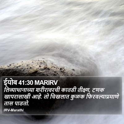 ईयोब 41:30 MARIRV Bible Verse Image
