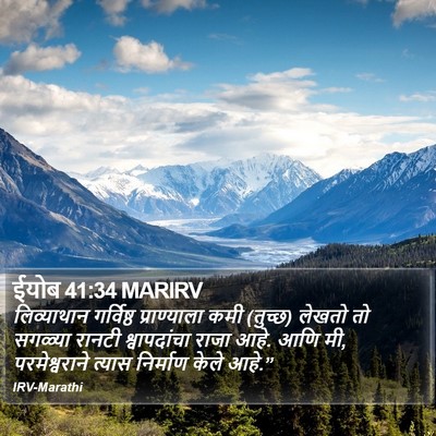ईयोब 41:34 MARIRV Bible Verse Image