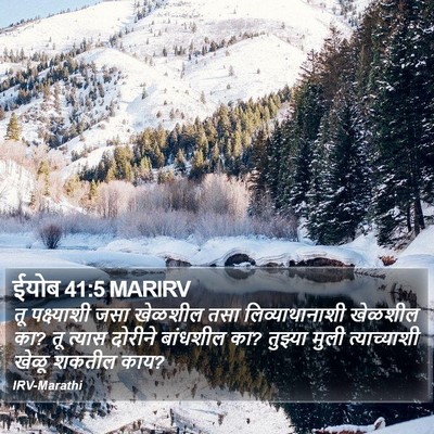 ईयोब 41:5 MARIRV Bible Verse Image