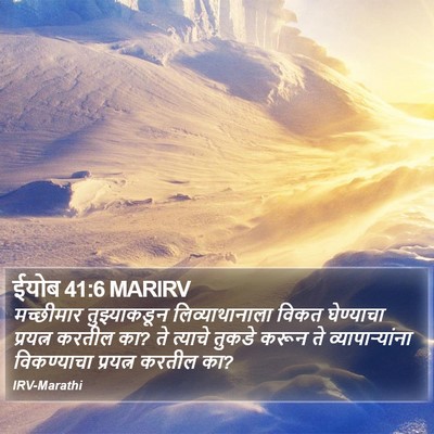 ईयोब 41:6 MARIRV Bible Verse Image