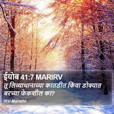 ईयोब 41:7 MARIRV Bible Verse Image