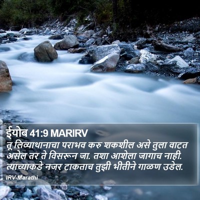 ईयोब 41:9 MARIRV Bible Verse Image