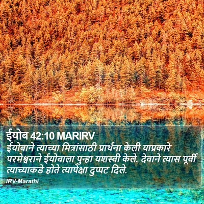 ईयोब 42:10 MARIRV Bible Verse Image