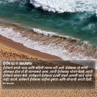 ईयोब 42:11 MARIRV Bible Verse Image