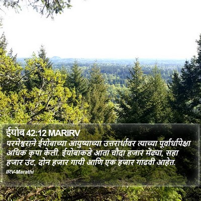 ईयोब 42:12 MARIRV Bible Verse Image