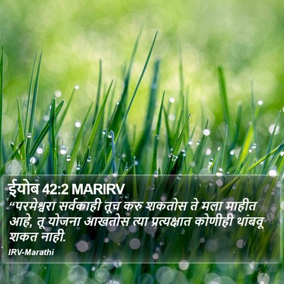 ईयोब 42:2 MARIRV Bible Verse Image