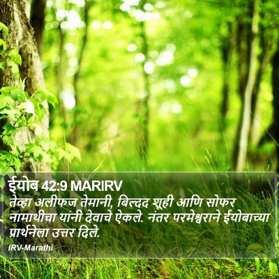 ईयोब 42:9 MARIRV Bible Verse Image
