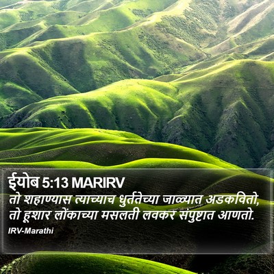 ईयोब 5:13 MARIRV Bible Verse Image