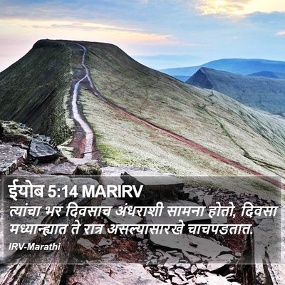 ईयोब 5:14 MARIRV Bible Verse Image