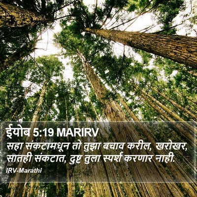 ईयोब 5:19 MARIRV Bible Verse Image