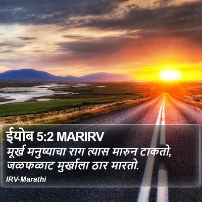 ईयोब 5:2 MARIRV Bible Verse Image