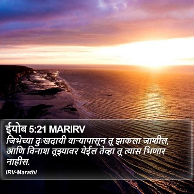 ईयोब 5:21 MARIRV Bible Verse Image