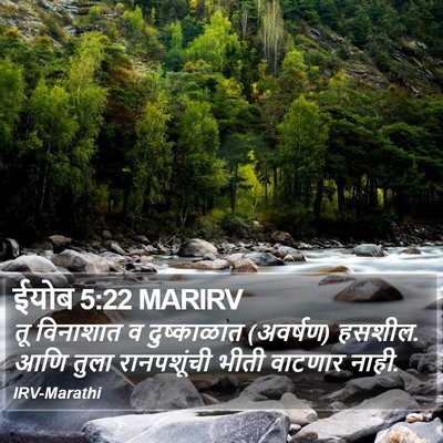 ईयोब 5:22 MARIRV Bible Verse Image