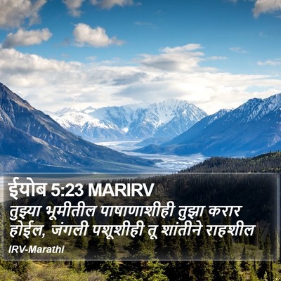 ईयोब 5:23 MARIRV Bible Verse Image