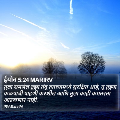ईयोब 5:24 MARIRV Bible Verse Image