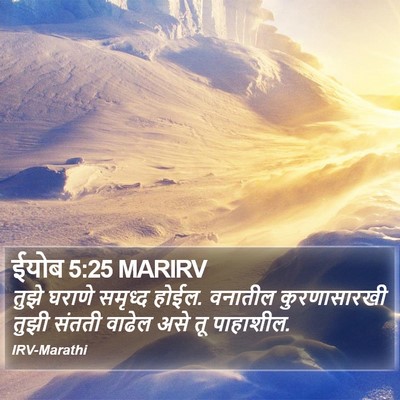 ईयोब 5:25 MARIRV Bible Verse Image