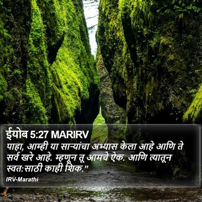 ईयोब 5:27 MARIRV Bible Verse Image