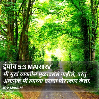 ईयोब 5:3 MARIRV Bible Verse Image