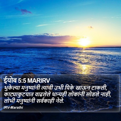 ईयोब 5:5 MARIRV Bible Verse Image