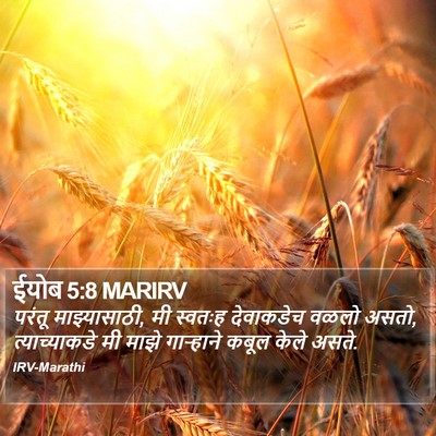 ईयोब 5:8 MARIRV Bible Verse Image