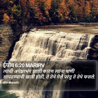 ईयोब 6:20 MARIRV Bible Verse Image