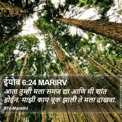 ईयोब 6:24 MARIRV Bible Verse Image