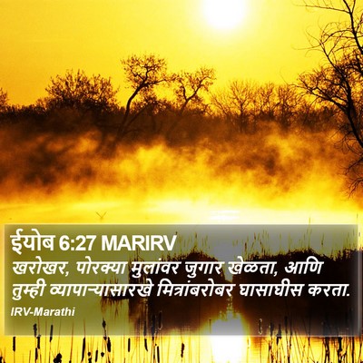 ईयोब 6:27 MARIRV Bible Verse Image