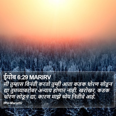 ईयोब 6:29 MARIRV Bible Verse Image
