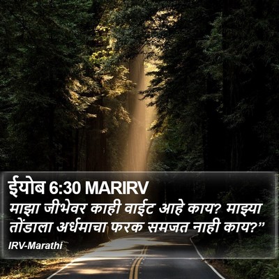 ईयोब 6:30 MARIRV Bible Verse Image