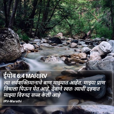 ईयोब 6:4 MARIRV Bible Verse Image