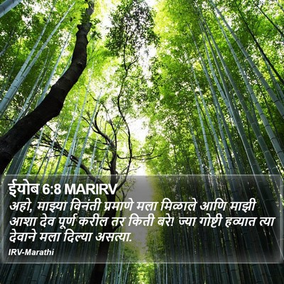 ईयोब 6:8 MARIRV Bible Verse Image