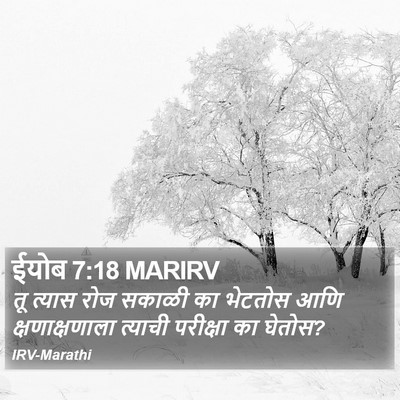 ईयोब 7:18 MARIRV Bible Verse Image