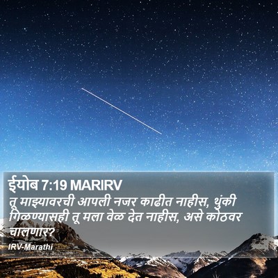 ईयोब 7:19 MARIRV Bible Verse Image