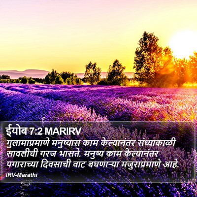 ईयोब 7:2 MARIRV Bible Verse Image