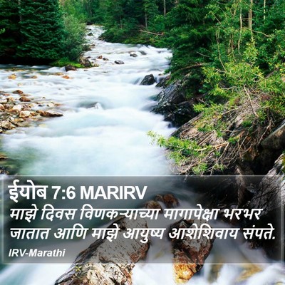 ईयोब 7:6 MARIRV Bible Verse Image