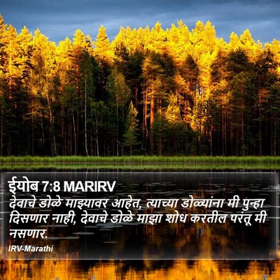 ईयोब 7:8 MARIRV Bible Verse Image