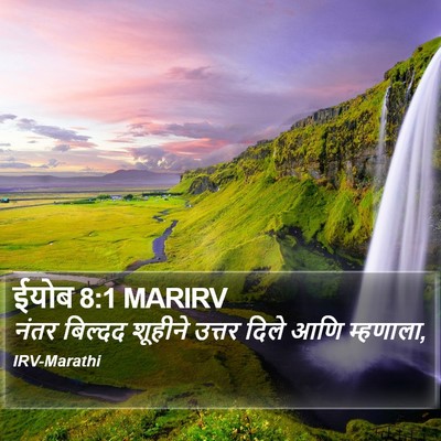 ईयोब 8:1 MARIRV Bible Verse Image