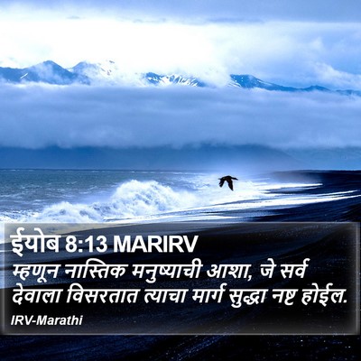 ईयोब 8:13 MARIRV Bible Verse Image