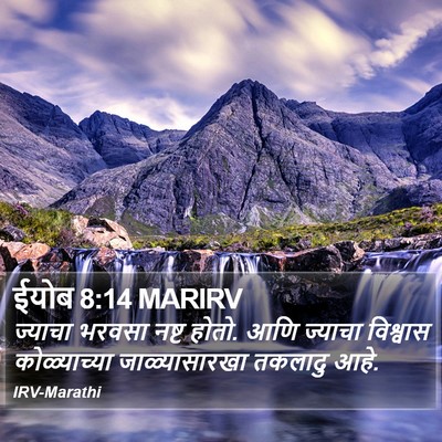 ईयोब 8:14 MARIRV Bible Verse Image