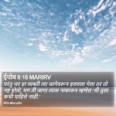 ईयोब 8:18 MARIRV Bible Verse Image