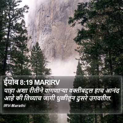 ईयोब 8:19 MARIRV Bible Verse Image