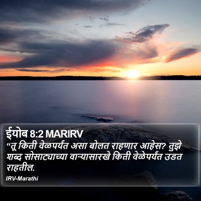 ईयोब 8:2 MARIRV Bible Verse Image