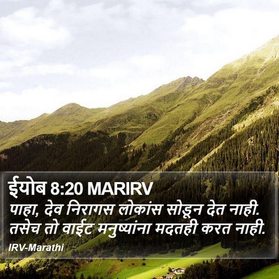 ईयोब 8:20 MARIRV Bible Verse Image